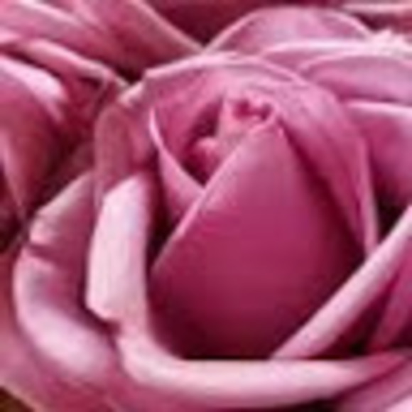 lorene12321